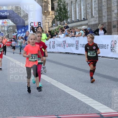 07.09.2025 - BARMER Alsterlauf Strokosch-Dieckow http://msf.ph/oto/8717361 07.09.2025 10:53:12 Ziel 159, 248, 254, 278, 281, 292, 293, 305, 321, 326, 331, 338, 362, 416, 8087, 8220 meine-sportfotos.de