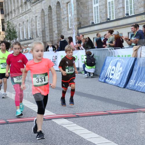 07.09.2025 - BARMER Alsterlauf Strokosch-Dieckow http://msf.ph/oto/8717364 07.09.2025 10:53:14 Ziel 159, 185, 248, 254, 278, 281, 292, 293, 305, 321, 331, 338, 362, 416, 8087 meine-sportfotos.de