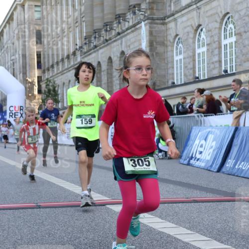 07.09.2025 - BARMER Alsterlauf Strokosch-Dieckow http://msf.ph/oto/8717366 07.09.2025 10:53:15 Ziel 159, 185, 248, 254, 278, 281, 292, 293, 304, 305, 321, 331, 338, 416, 8087 meine-sportfotos.de