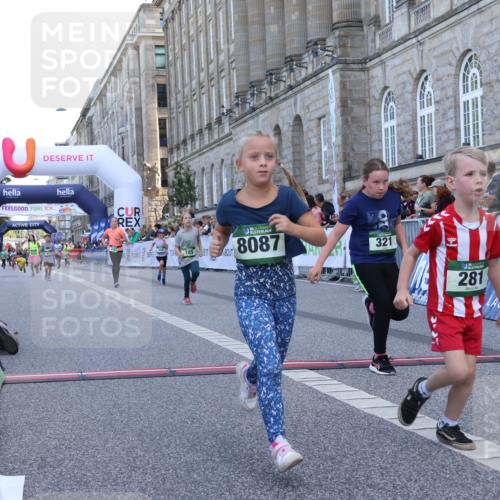 07.09.2025 - BARMER Alsterlauf Strokosch-Dieckow http://msf.ph/oto/8717370 07.09.2025 10:53:17 Ziel 159, 185, 243, 248, 281, 304, 305, 321, 331, 338, 416, 8087 meine-sportfotos.de