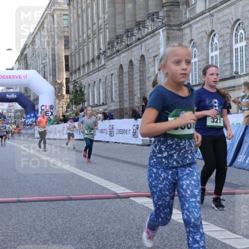 07.09.2025 - BARMER Alsterlauf Strokosch-Dieckow http://msf.ph/oto/8717371 07.09.2025 10:53:18 Ziel 159, 185, 243, 248, 281, 304, 305, 321, 331, 338, 447, 8087 meine-sportfotos.de
