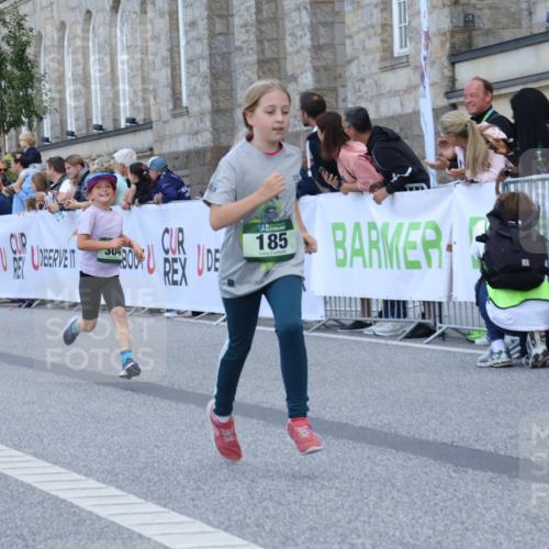 07.09.2025 - BARMER Alsterlauf Strokosch-Dieckow http://msf.ph/oto/8717373 07.09.2025 10:53:19 Ziel 159, 185, 243, 248, 281, 304, 305, 321, 331, 447, 8087 meine-sportfotos.de