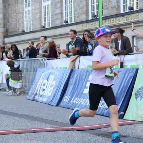 07.09.2025 - BARMER Alsterlauf Strokosch-Dieckow http://msf.ph/oto/8717380 07.09.2025 10:53:21 Ziel 159, 185, 243, 281, 304, 321, 447, 8087, 8103 meine-sportfotos.de