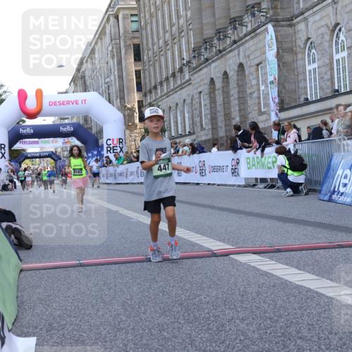 07.09.2025 - BARMER Alsterlauf Strokosch-Dieckow http://msf.ph/oto/8717385 07.09.2025 10:53:24 Ziel 185, 243, 304, 447, 8103 meine-sportfotos.de
