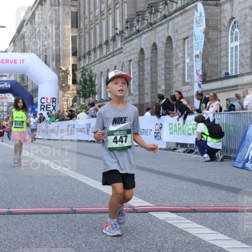 07.09.2025 - BARMER Alsterlauf Strokosch-Dieckow http://msf.ph/oto/8717386 07.09.2025 10:53:25 Ziel 185, 243, 304, 447, 8103 meine-sportfotos.de