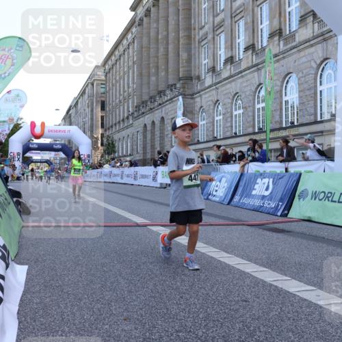 07.09.2025 - BARMER Alsterlauf Strokosch-Dieckow http://msf.ph/oto/8717388 07.09.2025 10:53:25 Ziel 185, 243, 304, 447, 8103 meine-sportfotos.de