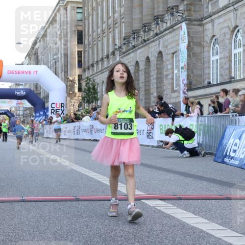 07.09.2025 - BARMER Alsterlauf Strokosch-Dieckow http://msf.ph/oto/8717393 07.09.2025 10:53:28 Ziel 243, 264, 447, 8055, 8103 meine-sportfotos.de
