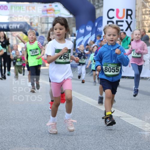 07.09.2025 - BARMER Alsterlauf Strokosch-Dieckow http://msf.ph/oto/8717399 07.09.2025 10:53:32 Ziel 176, 246, 264, 358, 454, 8055, 8103, 8278 meine-sportfotos.de