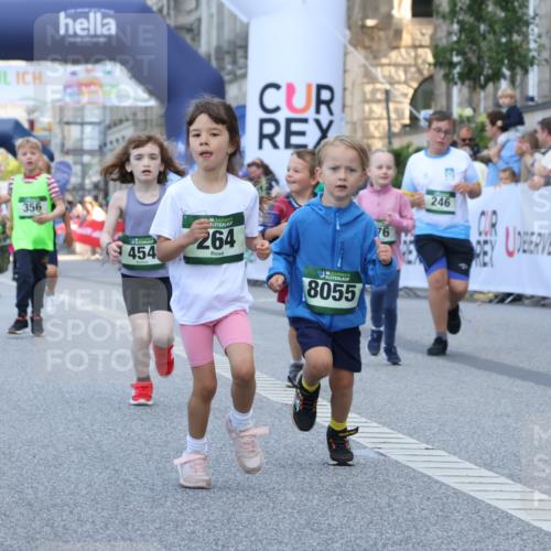 07.09.2025 - BARMER Alsterlauf Strokosch-Dieckow http://msf.ph/oto/8717400 07.09.2025 10:53:32 Ziel 176, 246, 264, 358, 454, 8055, 8103, 8278 meine-sportfotos.de