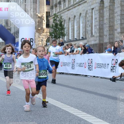 07.09.2025 - BARMER Alsterlauf Strokosch-Dieckow http://msf.ph/oto/8717401 07.09.2025 10:53:33 Ziel 176, 246, 264, 356, 358, 454, 8055, 8103, 8278 meine-sportfotos.de