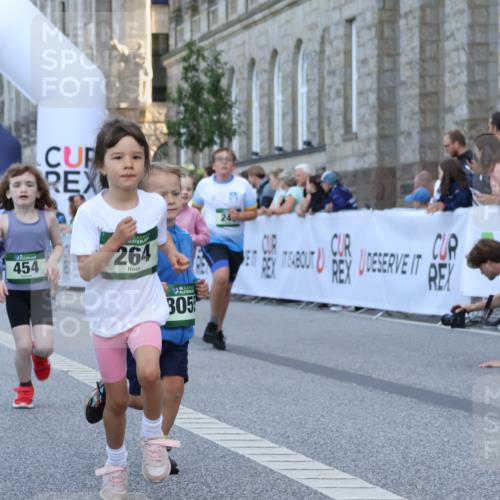 07.09.2025 - BARMER Alsterlauf Strokosch-Dieckow http://msf.ph/oto/8717402 07.09.2025 10:53:34 Ziel 176, 246, 264, 333, 356, 358, 454, 8055, 8278 meine-sportfotos.de
