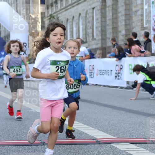 07.09.2025 - BARMER Alsterlauf Strokosch-Dieckow http://msf.ph/oto/8717403 07.09.2025 10:53:34 Ziel 176, 246, 264, 333, 356, 358, 454, 8055, 8278 meine-sportfotos.de