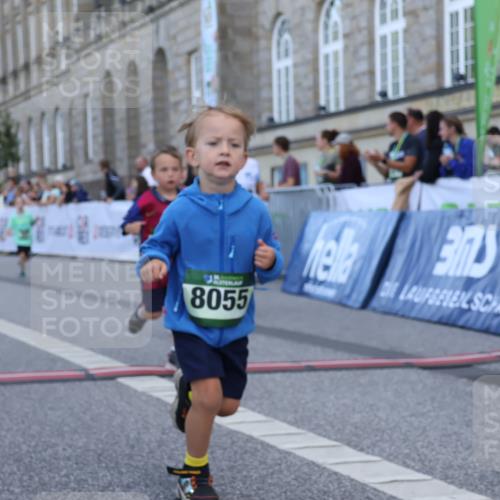 07.09.2025 - BARMER Alsterlauf Strokosch-Dieckow http://msf.ph/oto/8717405 07.09.2025 10:53:36 Ziel 176, 246, 264, 324, 333, 337, 356, 358, 363, 454, 8055, 8278 meine-sportfotos.de
