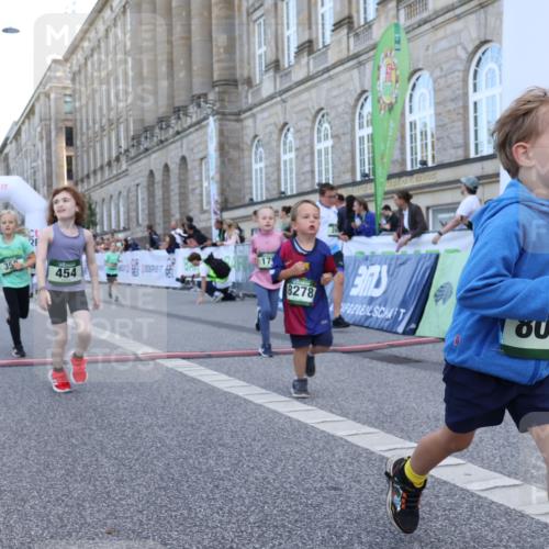 07.09.2025 - BARMER Alsterlauf Strokosch-Dieckow http://msf.ph/oto/8717407 07.09.2025 10:53:37 Ziel 176, 246, 252, 264, 324, 325, 333, 337, 356, 358, 363, 454, 8055, 8278 meine-sportfotos.de