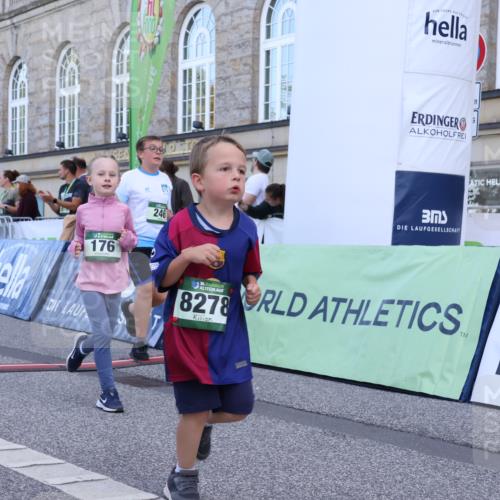 07.09.2025 - BARMER Alsterlauf Strokosch-Dieckow http://msf.ph/oto/8717408 07.09.2025 10:53:37 Ziel 176, 246, 252, 264, 324, 325, 333, 337, 356, 358, 363, 454, 8055, 8278 meine-sportfotos.de