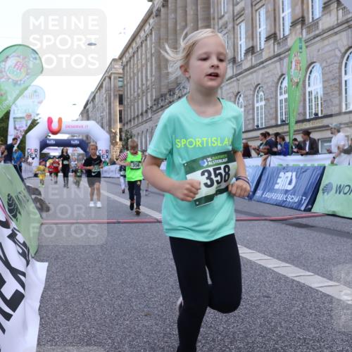 07.09.2025 - BARMER Alsterlauf Strokosch-Dieckow http://msf.ph/oto/8717412 07.09.2025 10:53:39 Ziel 176, 246, 252, 264, 324, 325, 333, 337, 356, 358, 361, 363, 454, 8055, 8278 meine-sportfotos.de