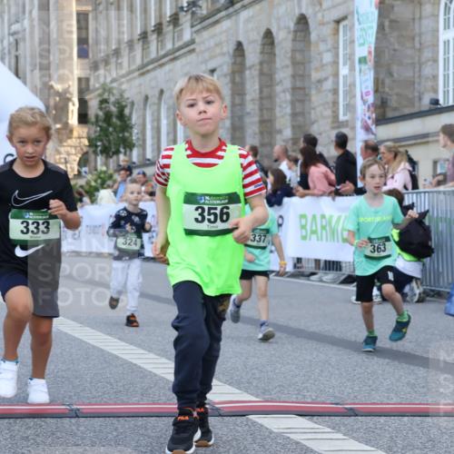 07.09.2025 - BARMER Alsterlauf Strokosch-Dieckow http://msf.ph/oto/8717413 07.09.2025 10:53:40 Ziel 176, 233, 246, 249, 252, 264, 294, 324, 325, 333, 337, 356, 358, 361, 363, 454, 8055, 8278 meine-sportfotos.de