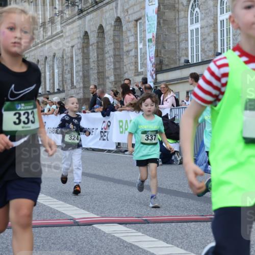 07.09.2025 - BARMER Alsterlauf Strokosch-Dieckow http://msf.ph/oto/8717415 07.09.2025 10:53:41 Ziel 176, 233, 246, 249, 252, 294, 324, 325, 333, 337, 356, 358, 361, 363, 454, 8278 meine-sportfotos.de