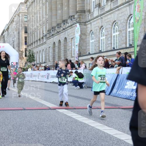 07.09.2025 - BARMER Alsterlauf Strokosch-Dieckow http://msf.ph/oto/8717418 07.09.2025 10:53:42 Ziel 176, 233, 246, 249, 252, 294, 324, 325, 333, 337, 356, 358, 361, 363, 454, 8278 meine-sportfotos.de
