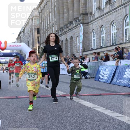 07.09.2025 - BARMER Alsterlauf Strokosch-Dieckow http://msf.ph/oto/8717422 07.09.2025 10:53:44 Ziel 233, 249, 252, 294, 324, 325, 333, 337, 356, 361, 363 meine-sportfotos.de