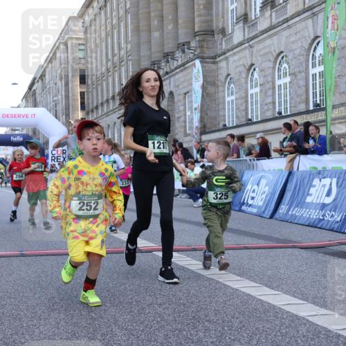 07.09.2025 - BARMER Alsterlauf Strokosch-Dieckow http://msf.ph/oto/8717423 07.09.2025 10:53:44 Ziel 233, 249, 252, 294, 324, 325, 333, 337, 356, 361, 363 meine-sportfotos.de