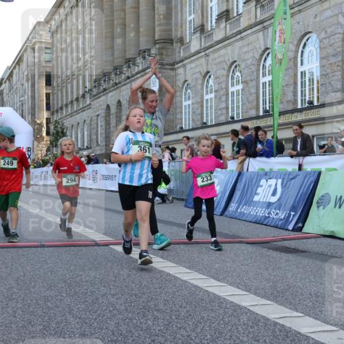 07.09.2025 - BARMER Alsterlauf Strokosch-Dieckow http://msf.ph/oto/8717427 07.09.2025 10:53:46 Ziel 233, 249, 252, 294, 324, 325, 333, 337, 361, 363 meine-sportfotos.de