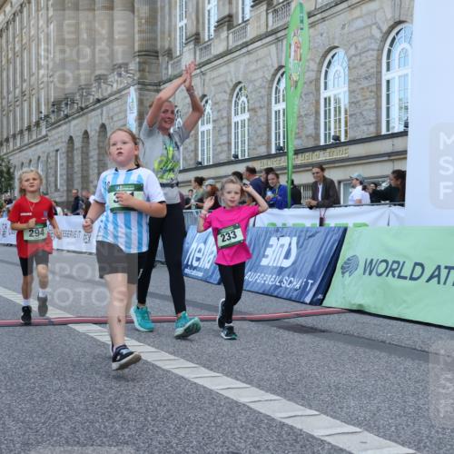 07.09.2025 - BARMER Alsterlauf Strokosch-Dieckow http://msf.ph/oto/8717428 07.09.2025 10:53:46 Ziel 233, 249, 252, 294, 324, 325, 333, 337, 361, 363 meine-sportfotos.de