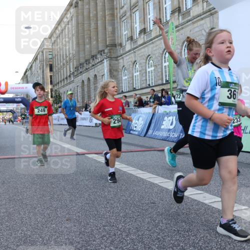 07.09.2025 - BARMER Alsterlauf Strokosch-Dieckow http://msf.ph/oto/8717431 07.09.2025 10:53:48 Ziel 183, 233, 249, 252, 294, 324, 325, 361 meine-sportfotos.de