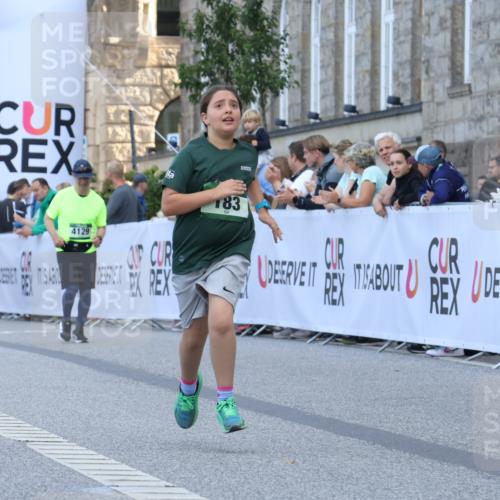 07.09.2025 - BARMER Alsterlauf Strokosch-Dieckow http://msf.ph/oto/8717438 07.09.2025 10:53:51 Ziel 183, 233, 249, 294, 361 meine-sportfotos.de
