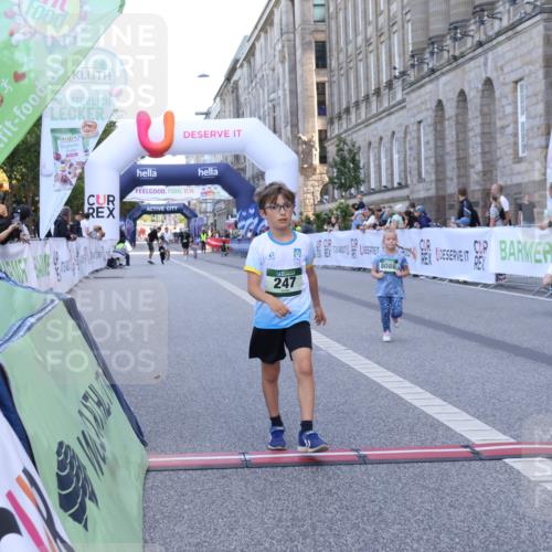 07.09.2025 - BARMER Alsterlauf Strokosch-Dieckow http://msf.ph/oto/8717453 07.09.2025 10:54:22 Ziel 247, 2997, 8086 meine-sportfotos.de