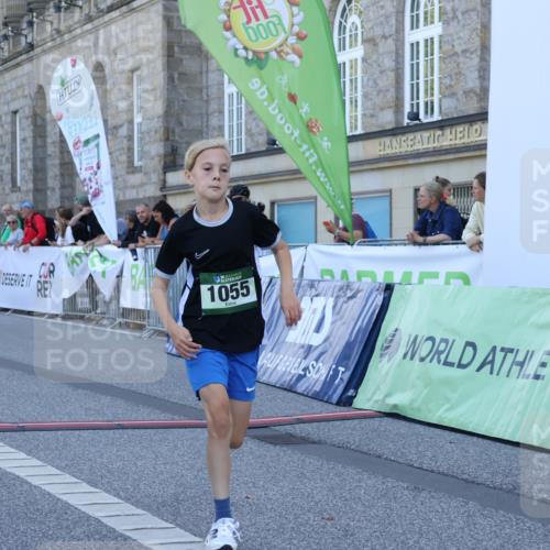 07.09.2025 - BARMER Alsterlauf Strokosch-Dieckow http://msf.ph/oto/8717671 07.09.2025 11:55:13 Ziel  meine-sportfotos.de
