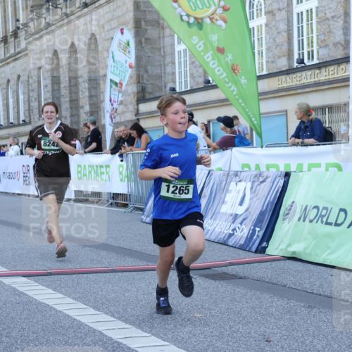 07.09.2025 - BARMER Alsterlauf Strokosch-Dieckow http://msf.ph/oto/8717707 07.09.2025 11:56:04 Ziel  meine-sportfotos.de