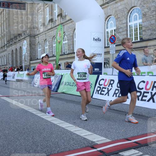07.09.2025 - BARMER Alsterlauf Strokosch-Dieckow http://msf.ph/oto/8718012 07.09.2025 12:01:47 Ziel  meine-sportfotos.de