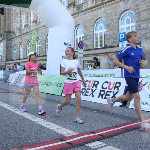 07.09.2025 - BARMER Alsterlauf Strokosch-Dieckow http://msf.ph/oto/8718013 07.09.2025 12:01:47 Ziel  meine-sportfotos.de