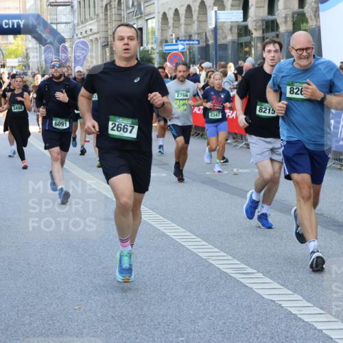 07.09.2025 - BARMER Alsterlauf Strokosch-Dieckow http://msf.ph/oto/8719521 07.09.2025 10:02:20 Ziel 2138, 2444, 2518, 2539, 2880, 3111, 3113, 3253, 3522, 3682, 3683, 3888, 4085, 4106, 4163, 4329, 4476, 4493, 4494, 4574, 4596, 4668, 4735, 4836, 5022, 5221, 5328, 5454, 5564, 5580, 5590, 5626, 5636, 5656, 5699, 5809, 5810, 5927, 5928, 6032, 6164, 6349, 8029, 8036, 8234, 8252, 8406, 8416, 8420 meine-sportfotos.de