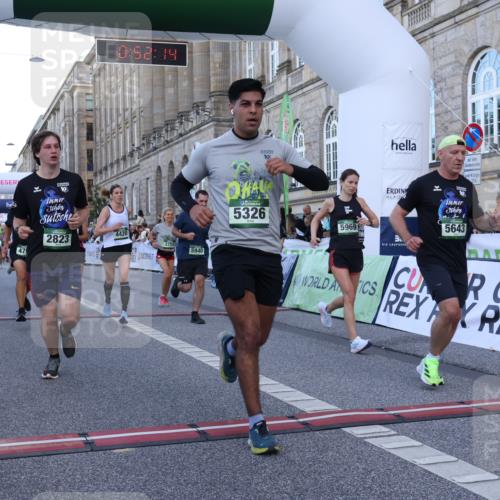 07.09.2025 - BARMER Alsterlauf Strokosch-Dieckow http://msf.ph/oto/8721257 07.09.2025 09:52:12 Ziel 2165, 2242, 2451, 2776, 2823, 3099, 3363, 3556, 3601, 3750, 4420, 4613, 4795, 4979, 5326, 5643, 5853, 5884, 5886, 5940, 5969, 6254 meine-sportfotos.de