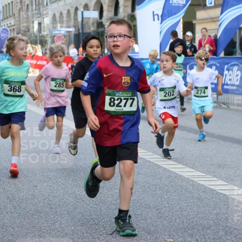 07.09.2025 - BARMER Alsterlauf Strokosch-Dieckow http://msf.ph/oto/8727308 07.09.2025 10:51:59 Ziel  meine-sportfotos.de
