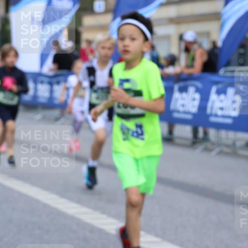 07.09.2025 - BARMER Alsterlauf Strokosch-Dieckow http://msf.ph/oto/8727412 07.09.2025 10:51:48 Ziel  meine-sportfotos.de