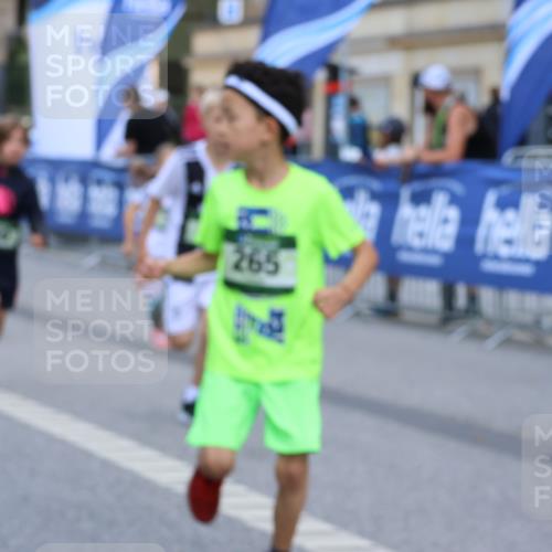 07.09.2025 - BARMER Alsterlauf Strokosch-Dieckow http://msf.ph/oto/8727415 07.09.2025 10:51:47 Ziel  meine-sportfotos.de
