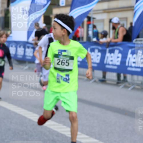 07.09.2025 - BARMER Alsterlauf Strokosch-Dieckow http://msf.ph/oto/8727416 07.09.2025 10:51:47 Ziel  meine-sportfotos.de