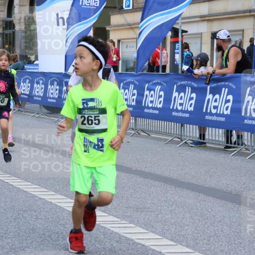 07.09.2025 - BARMER Alsterlauf Strokosch-Dieckow http://msf.ph/oto/8727422 07.09.2025 10:51:47 Ziel  meine-sportfotos.de
