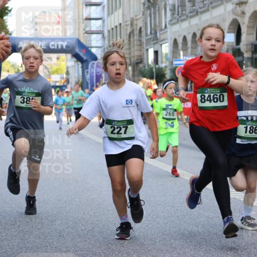 07.09.2025 - BARMER Alsterlauf Strokosch-Dieckow http://msf.ph/oto/8727424 07.09.2025 10:51:44 Ziel  meine-sportfotos.de