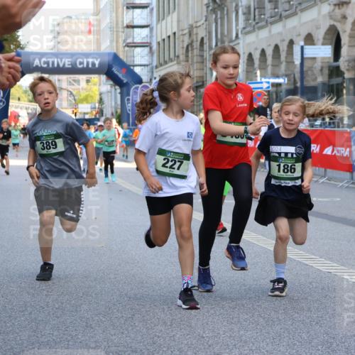 07.09.2025 - BARMER Alsterlauf Strokosch-Dieckow http://msf.ph/oto/8727437 07.09.2025 10:51:44 Ziel  meine-sportfotos.de