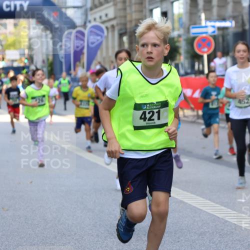 07.09.2025 - BARMER Alsterlauf Strokosch-Dieckow http://msf.ph/oto/8727599 07.09.2025 10:51:21 Ziel  meine-sportfotos.de