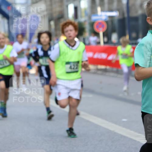 07.09.2025 - BARMER Alsterlauf Strokosch-Dieckow http://msf.ph/oto/8727620 07.09.2025 10:51:19 Ziel  meine-sportfotos.de