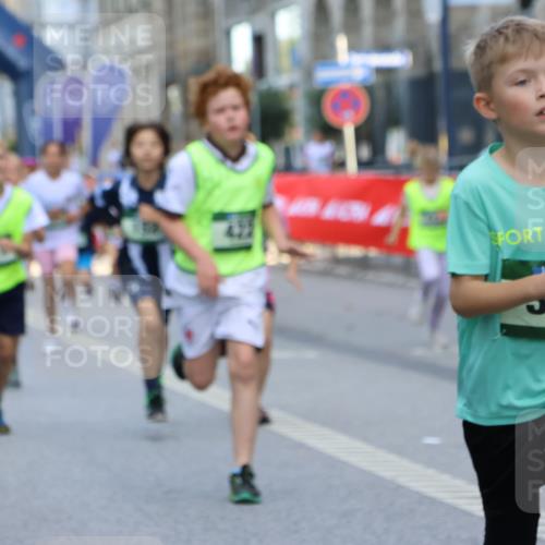 07.09.2025 - BARMER Alsterlauf Strokosch-Dieckow http://msf.ph/oto/8727621 07.09.2025 10:51:18 Ziel  meine-sportfotos.de