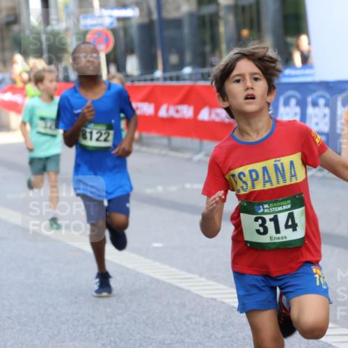07.09.2025 - BARMER Alsterlauf Strokosch-Dieckow http://msf.ph/oto/8727660 07.09.2025 10:51:15 Ziel  meine-sportfotos.de