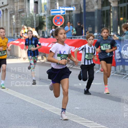 07.09.2025 - BARMER Alsterlauf Strokosch-Dieckow http://msf.ph/oto/8727802 07.09.2025 10:50:52 Ziel  meine-sportfotos.de