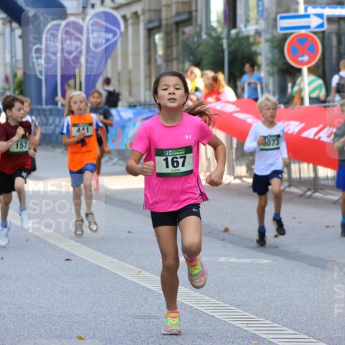 07.09.2025 - BARMER Alsterlauf Strokosch-Dieckow http://msf.ph/oto/8727839 07.09.2025 10:50:45 Ziel  meine-sportfotos.de