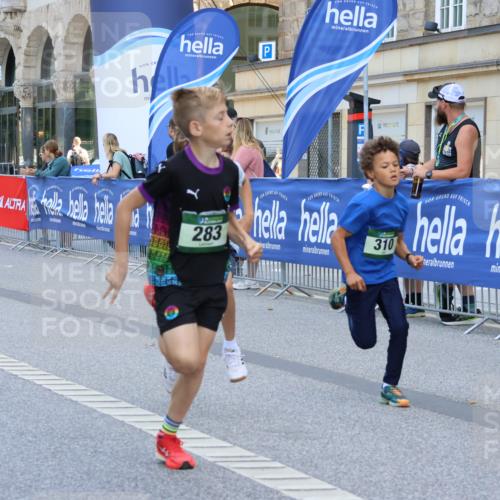 07.09.2025 - BARMER Alsterlauf Strokosch-Dieckow http://msf.ph/oto/8727928 07.09.2025 10:50:31 Ziel  meine-sportfotos.de